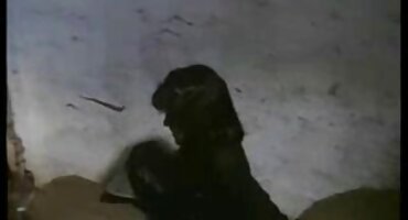 phim hoạt hình doraemon Brunette hút vòi nước dày. sexkoche